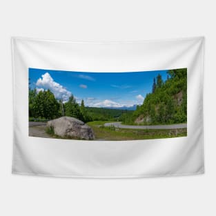 Denali Panorama Tapestry