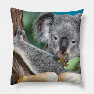 KOALA READING THE BIBLE Pillow