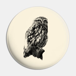 Little owl Pin