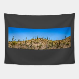 Apache Trail Scenic Drive View Tapestry