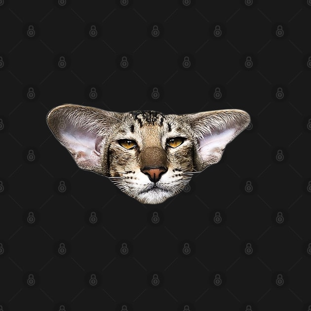 Oriental Cat Kitten Art by ElegantCat