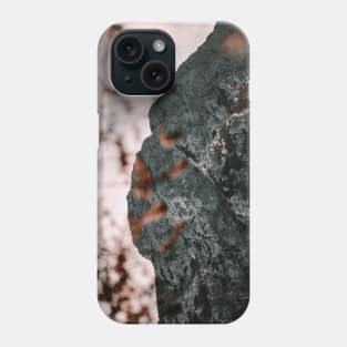 Mountain in Fall Phone Case