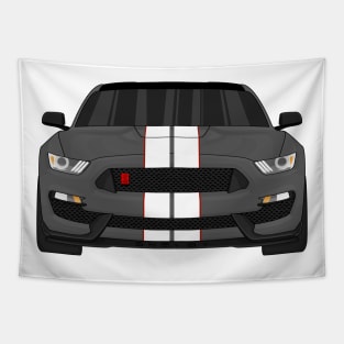 GT350R MAGNETIC Tapestry