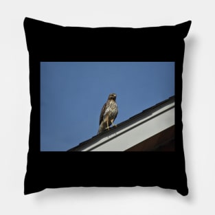 Hawk Pillow