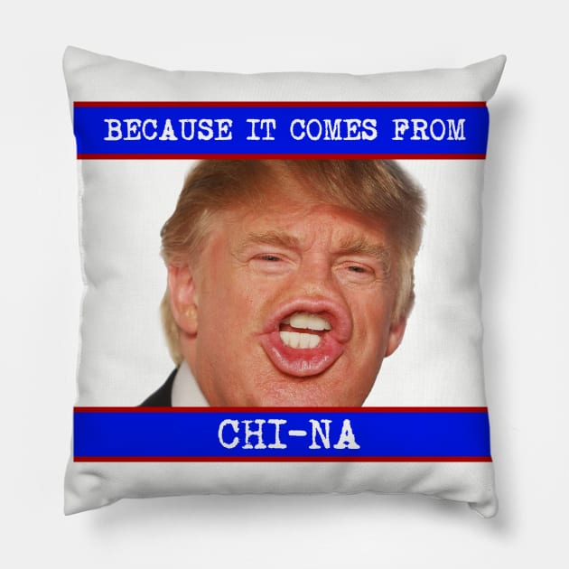 It comes from China Pillow by jeffbas90