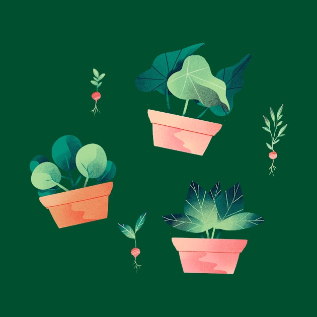 Plants by Mofy