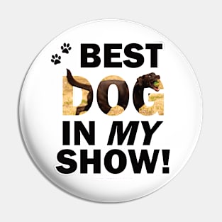 Best Dog In My Show - chocolate labrador oil painting word art Pin