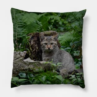 Wild cat Pillow