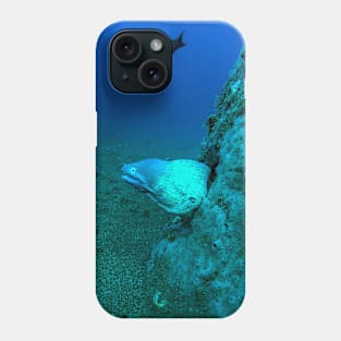 Button Eye Moray Eel Phone Case