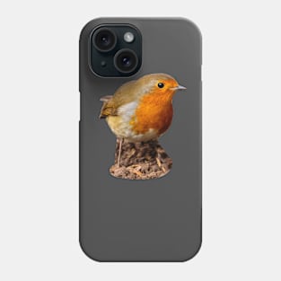 Robin in the garden Phone Case