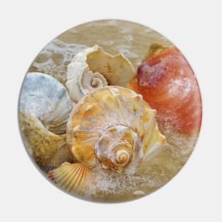 Seashells by the Seashore Pin