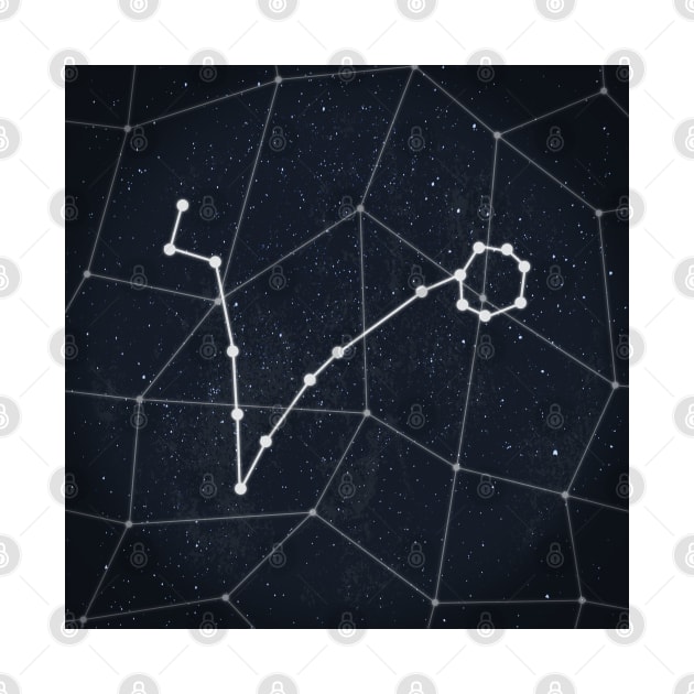 Pisces Constellation by RAADesigns