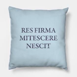 Res Firma Pillow