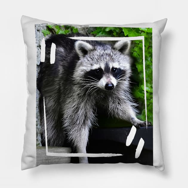 Raccoon - Mascot Of The Coronavirus Pandemic Pillow by DeVerviers