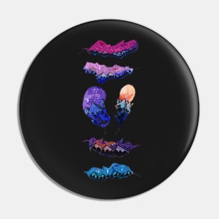 Galaxy and feathers Pin