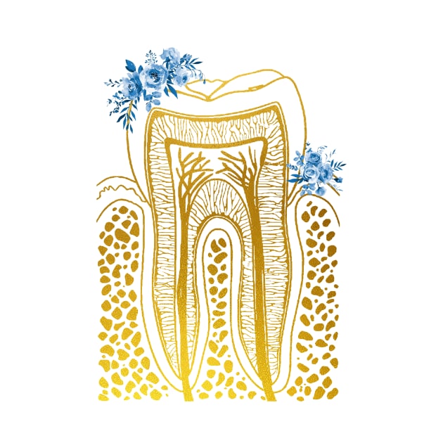 Tooth Structure by erzebeth