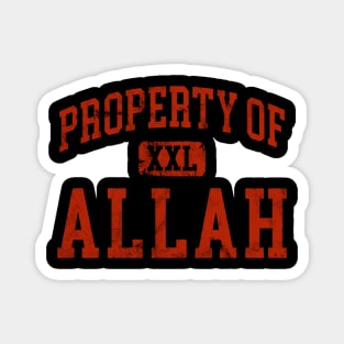 allah (distressed) Magnet