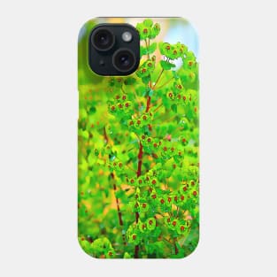 Euphorbia Ascot Rainbow Phone Case