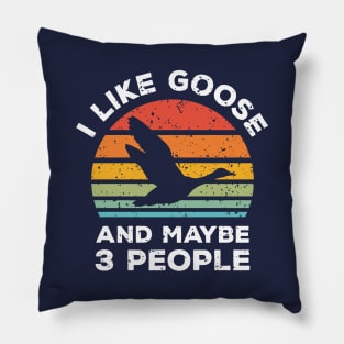 I Like Goose and Maybe 3 People, Retro Vintage Sunset with Style Old Grainy Grunge Texture Pillow