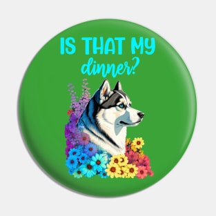 Siberian husky is that my dinner loves food funny Pin