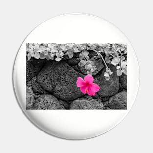 Pink Hibiscus on Lava Rock Wall Pin