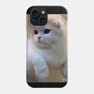 Jr the cute cats Phone Case