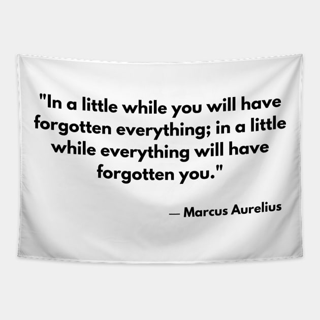 “In a little while you will have forgotten everything; in a little while everything will have forgotten you.” Marcus Aurelius, Meditations Tapestry by ReflectionEternal