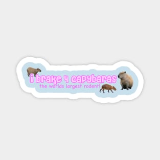 I Brake for Capybaras Magnet