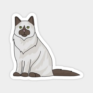 Ragdoll cat Magnet