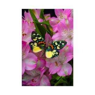 Rainbow Butterfly On Alstromeria Flowers T-Shirt