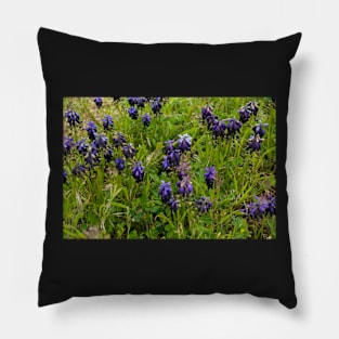 Muscari flowers on a green field Pillow