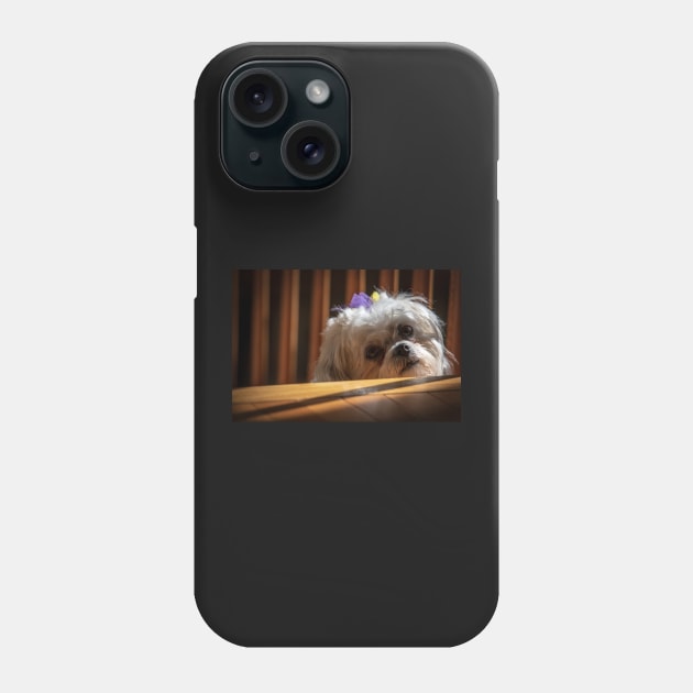 Patience Phone Case by gdb2