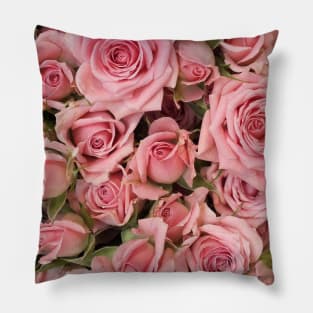 Pink Roses Pillow