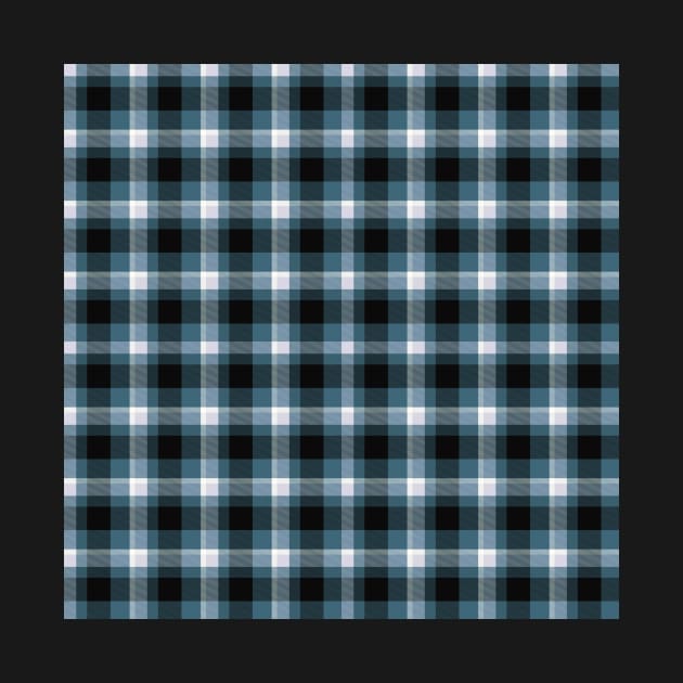 Blue Plaid by JerryWLambert