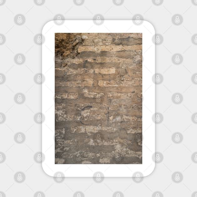 Old brick wall with cracks and scratches. Brick wall background. Distressed wall with broken bricks texture. House facade. Magnet by AnaMOMarques