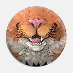 Orange and White Cat Mask Pin