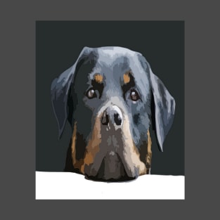 Rottweiler Peering Over A White Wall Against Black T-Shirt