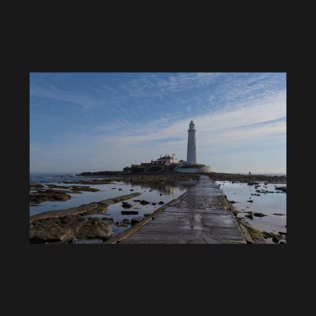 St Mary's Island and Lighthouse by Violaman