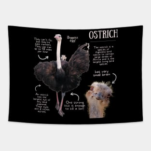Animal Facts - Ostrich Tapestry