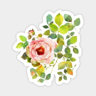 SINGLE CLIMBING ROSE WITH BUD WATERCOLOR FLOWERS Magnet