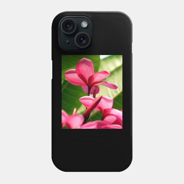 flowers-dress-lei-frangipani-floral-red-petals-shirtyshirto-45 Phone Case by Shirty.Shirto