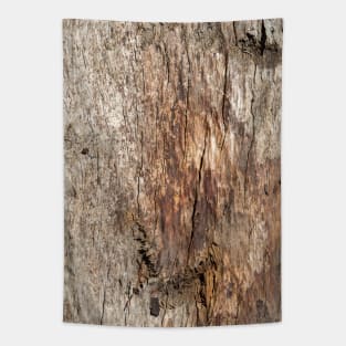 Old wooden texture Tapestry