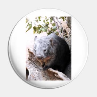 Wombat Pin