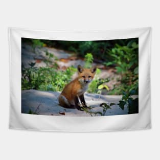 Red Fox Kit Tapestry