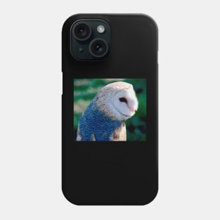 Colorful Wild Owl Bird Phone Case