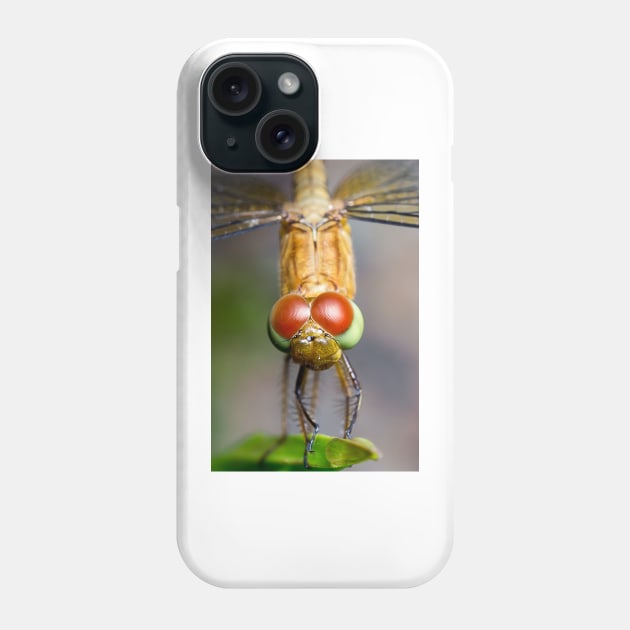 Unique and organic photo of a Dragonfly Phone Case by AvonPerception