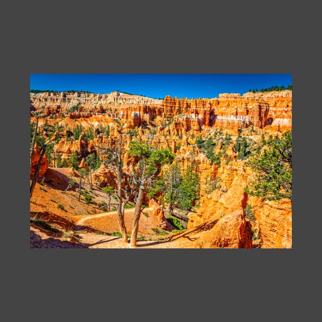 Bryce Canyon National Park by Gestalt Imagery