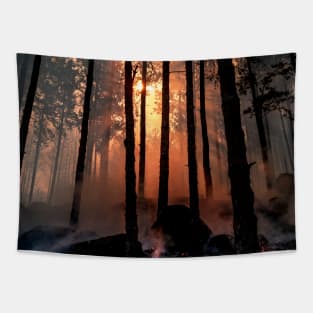 SCENERY 84 - Sunset Forest Tree Silhouette Natural Environment Tapestry