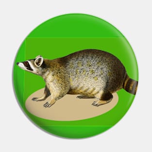 raccoon on a green backcolor Pin