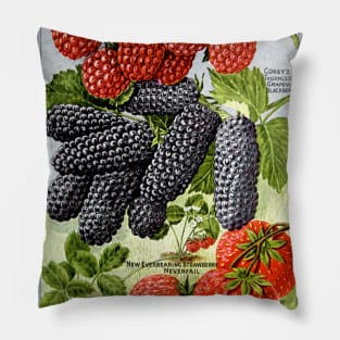 Berry Seed Catalogue, circa 1900s Pillow